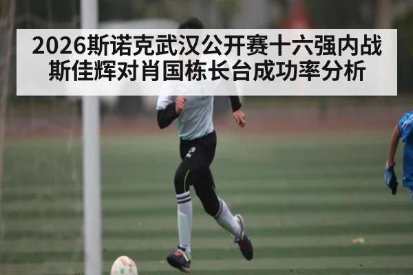 2026斯诺克武汉公开赛十六强内战斯佳辉对肖国栋长台成功率分析